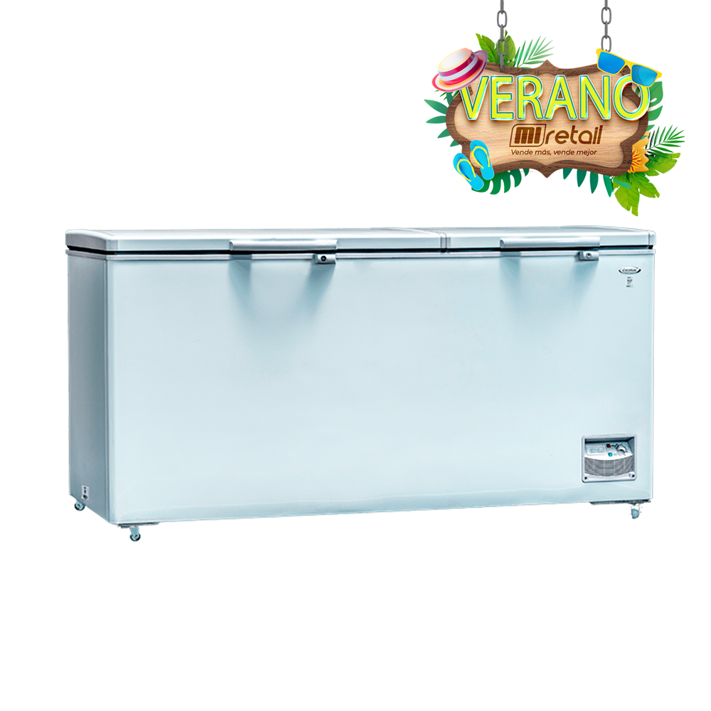 Congeladora BD 638 TD